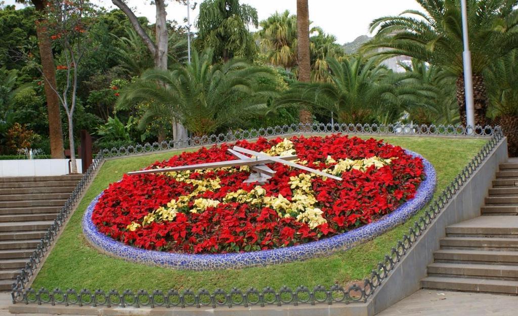 Santa Cruz De Tenerife Toscal Exteriör bild